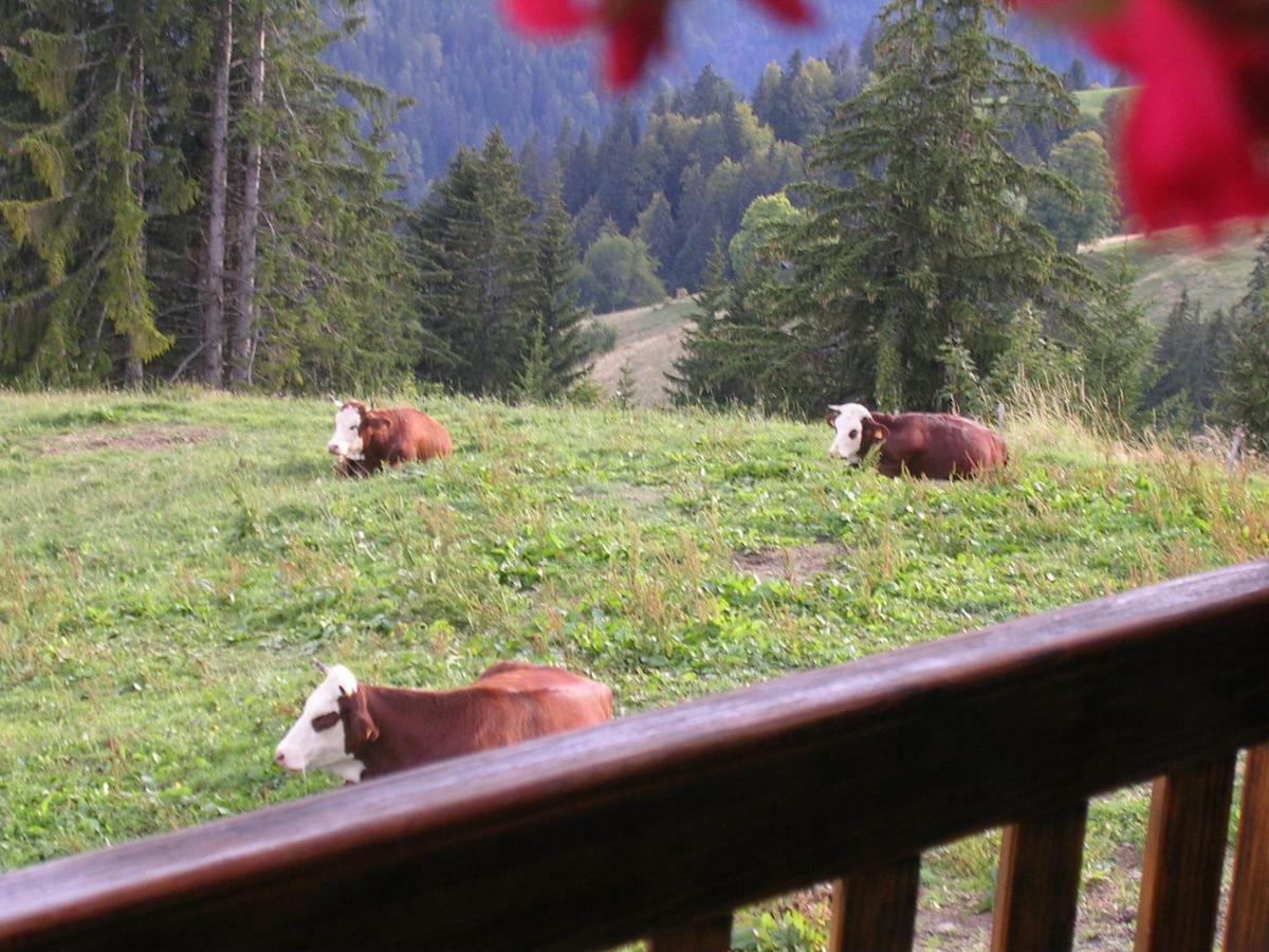 Bed and Breakfast Le Megevan La Giettaz Zewnętrze zdjęcie