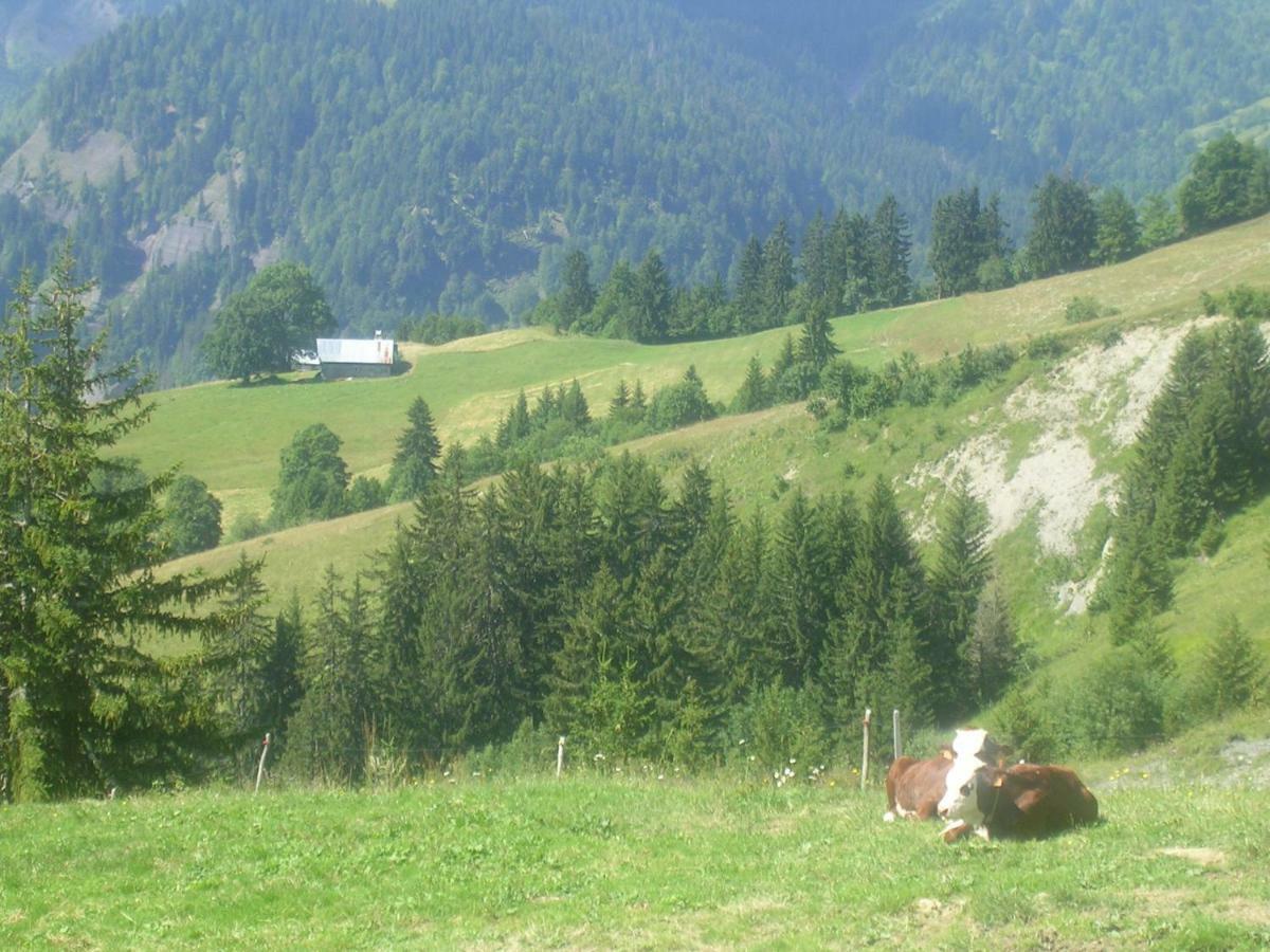 Bed and Breakfast Le Megevan La Giettaz Zewnętrze zdjęcie